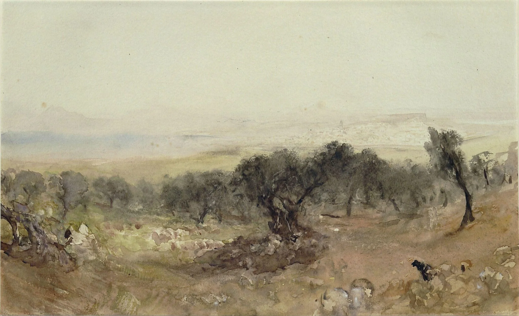Tunis, detail