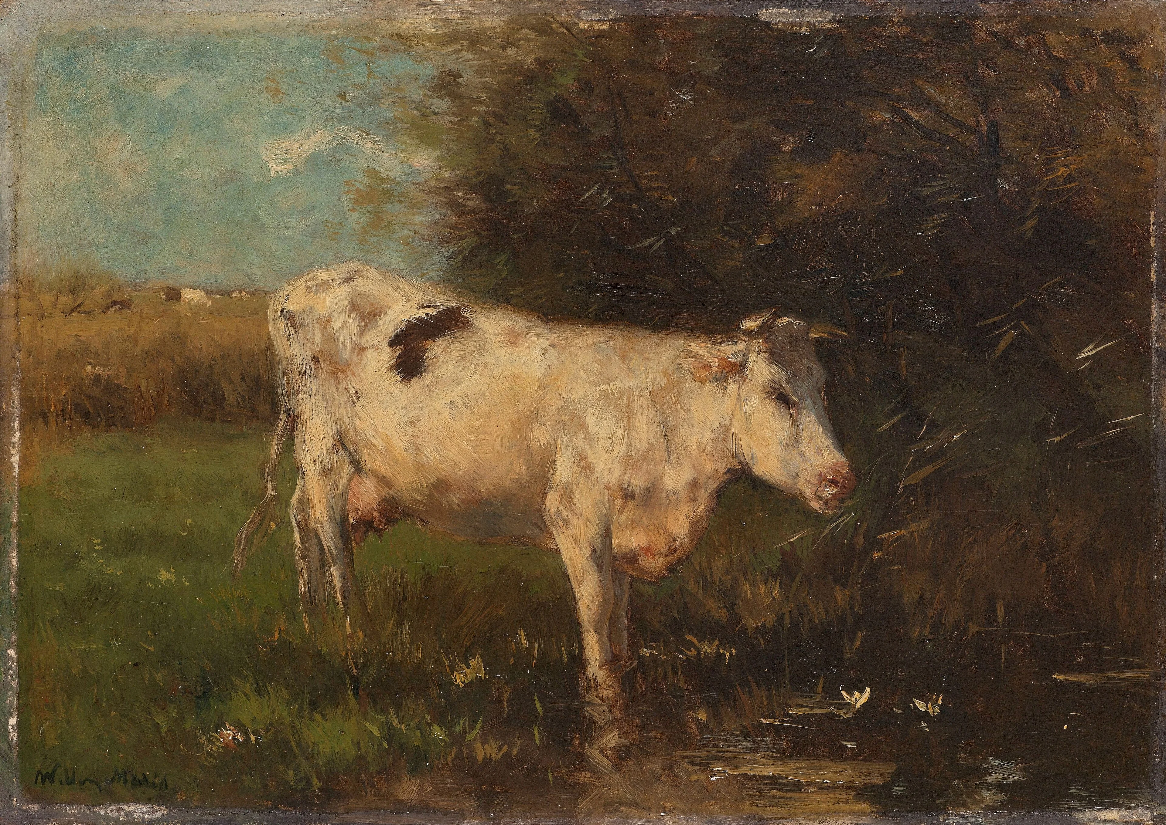 White Cow, detail