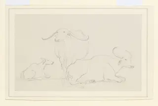 Three bullocks, by William Daniell, 1792
