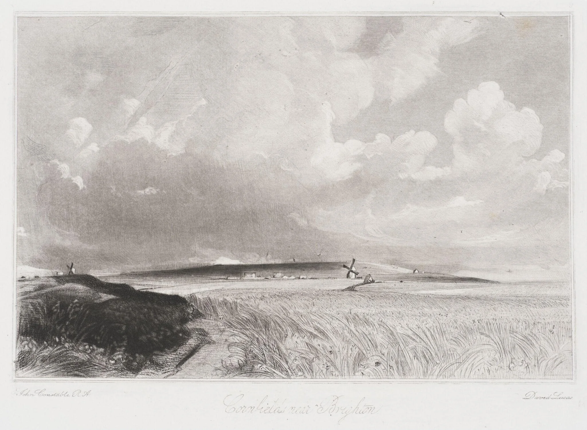 Cornfields near Brighton, detail