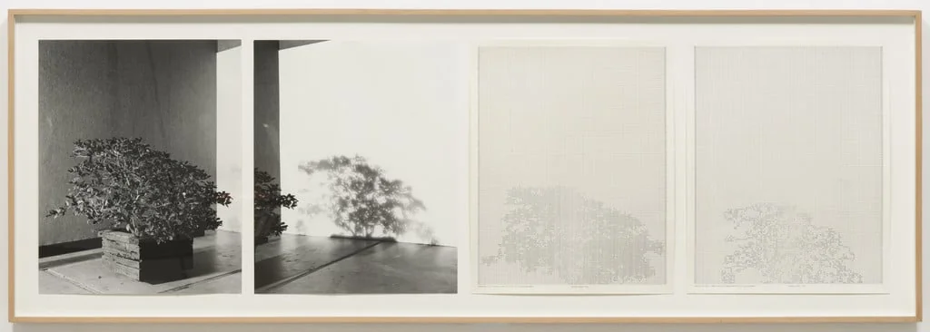 Untitled, detail