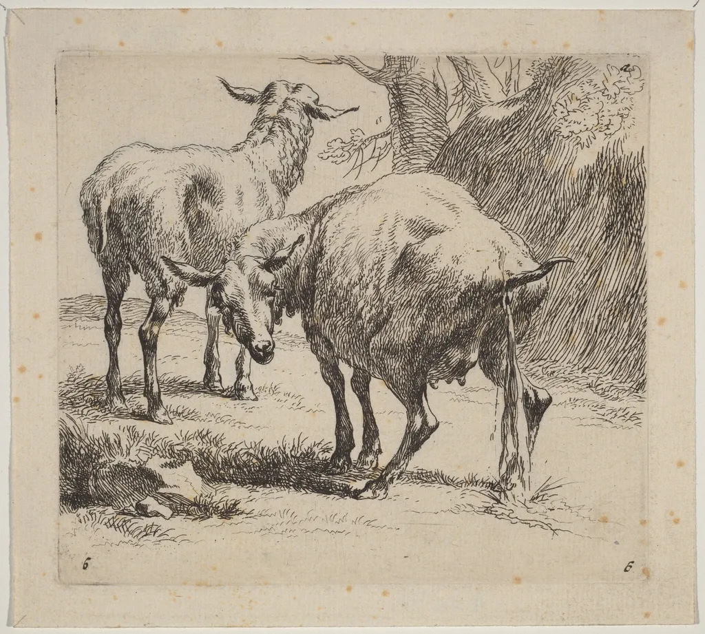 Two Sheep, One Pissing, by Nicolaes Pieterszoon Berchem, 1652