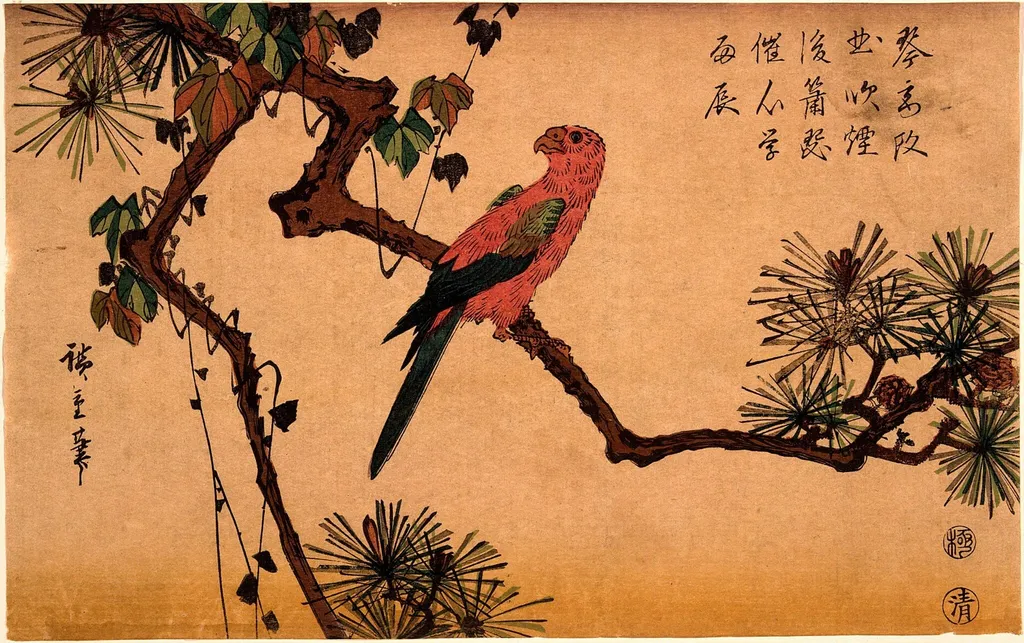 Macaw on a Pine Branch, by Andō Hiroshige, ink, 1842