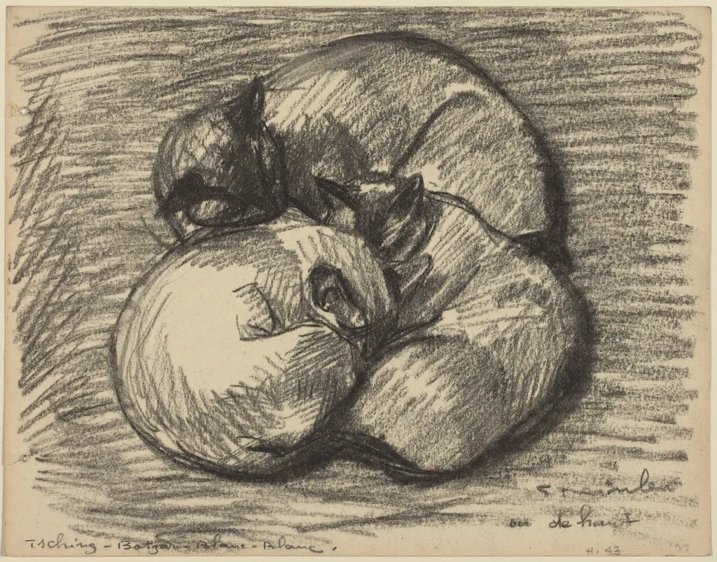 The Cats: Tsching, Batzar and Blanc-Blanc, by Théophile Alexandre Steinlen, charcoal, 1891