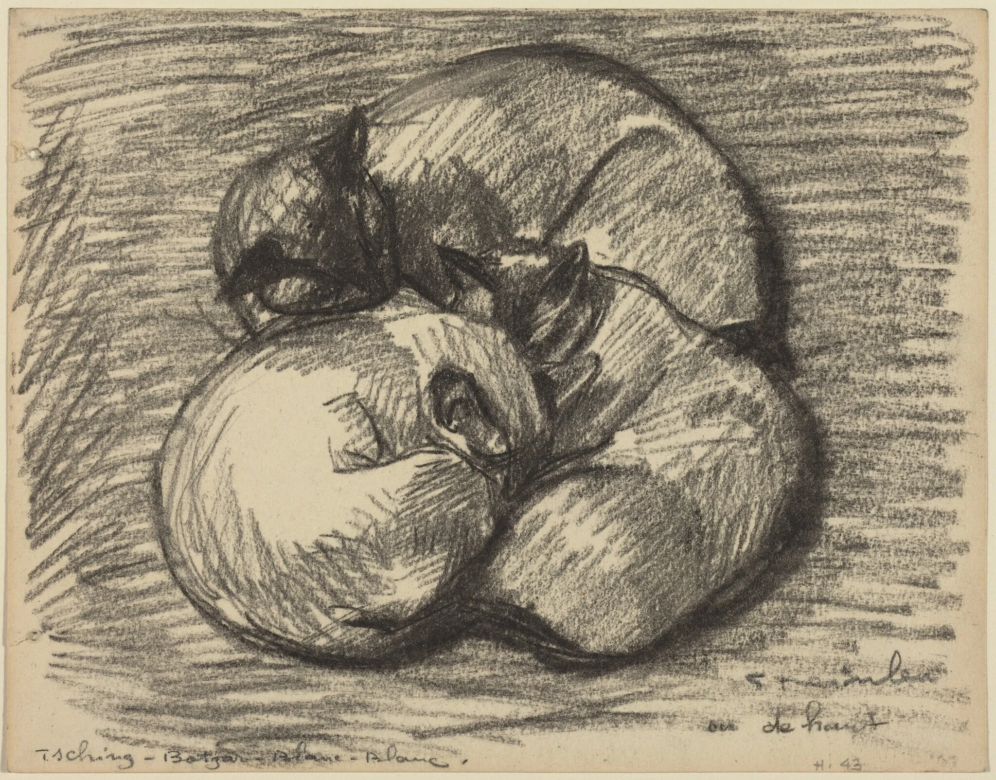 The Cats: Tsching, Batzar and Blanc-Blanc, detail