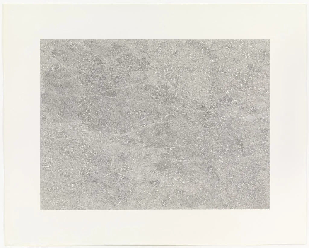 Untitled, detail