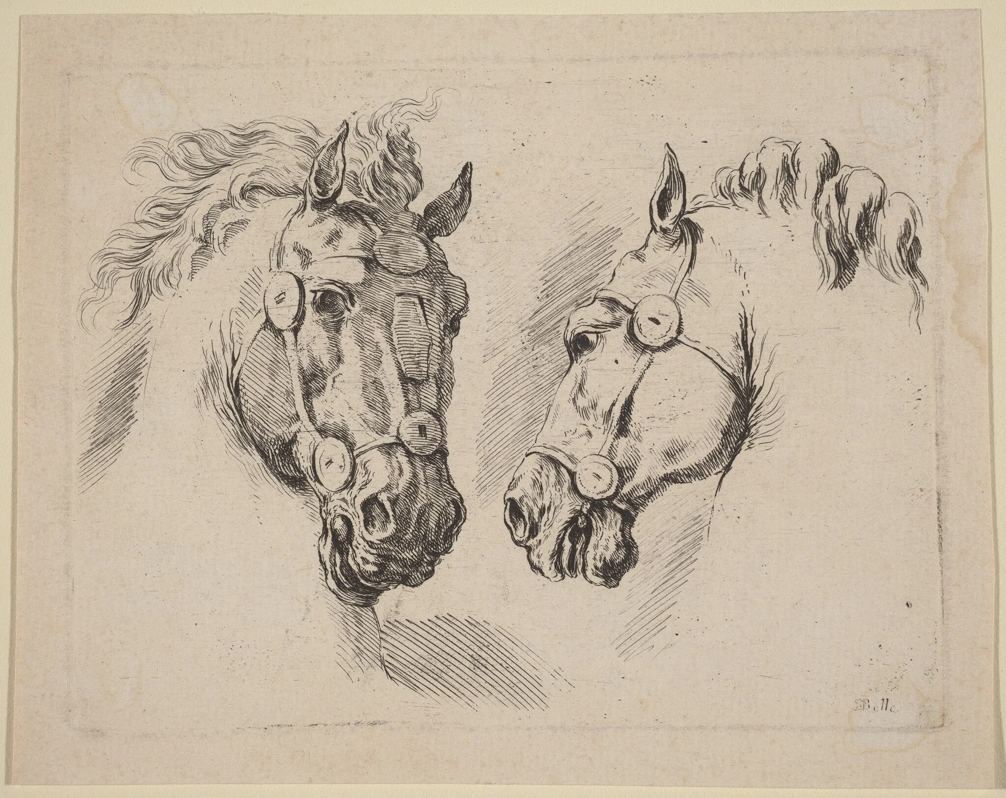 Two Horse Heads, detail