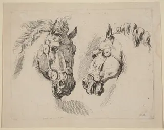 Two Horse Heads, by Stefano Della Bella, ink, 1649