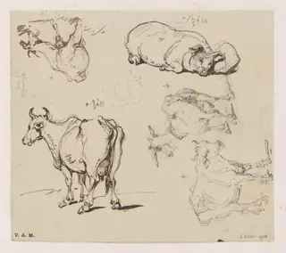 Drawings of animals, by George Chinnery, 6