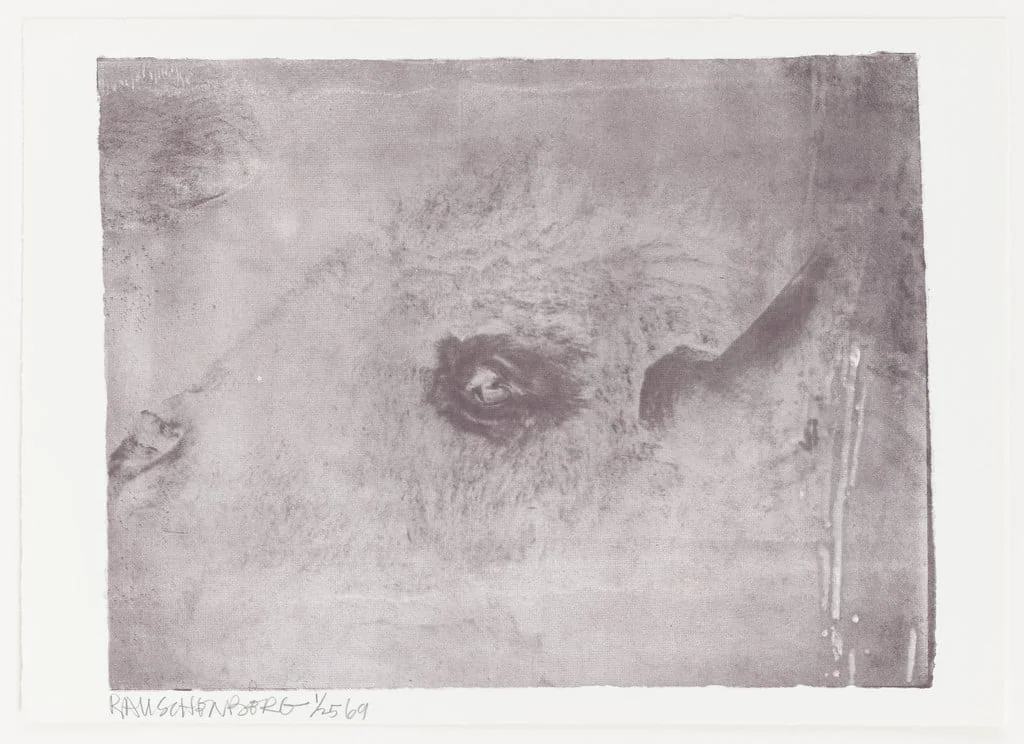 Untitled, detail