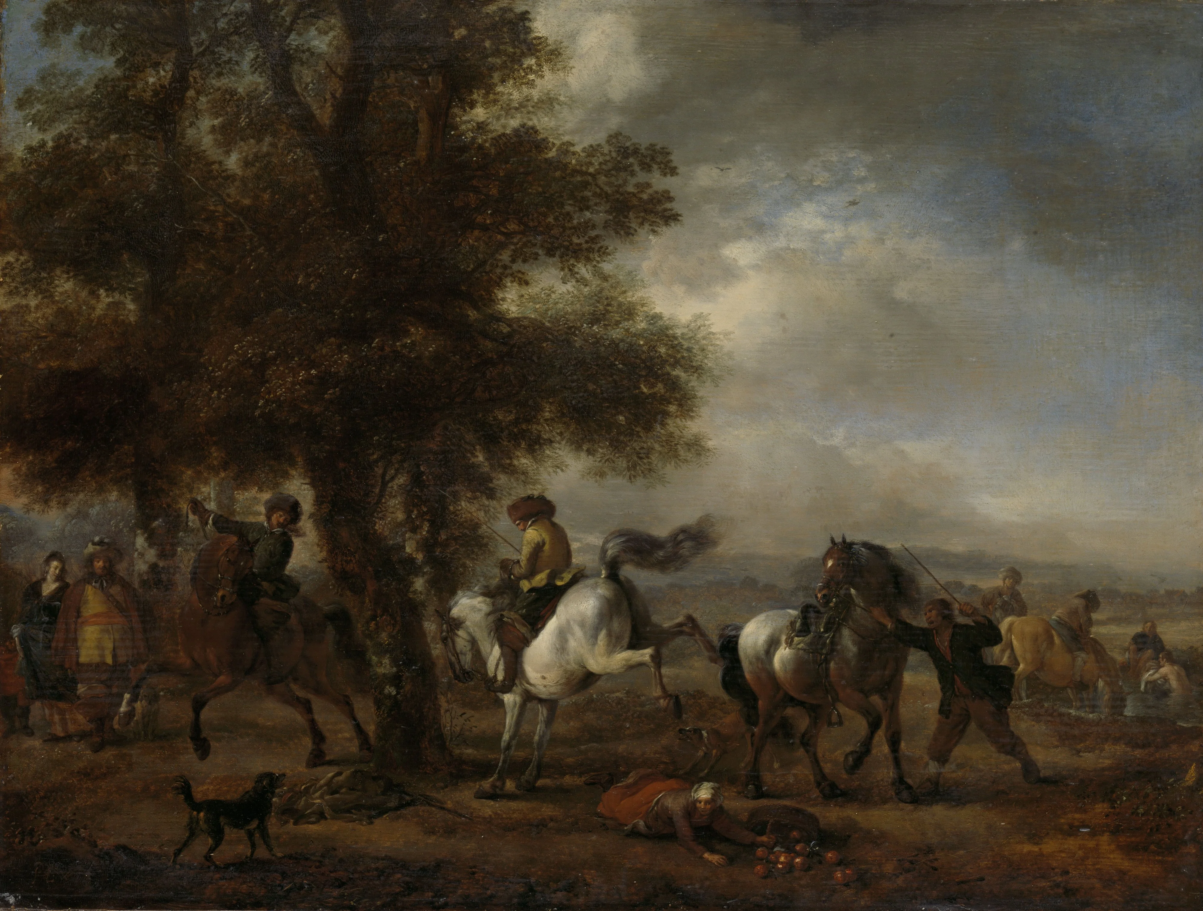 The bucking gray, detail