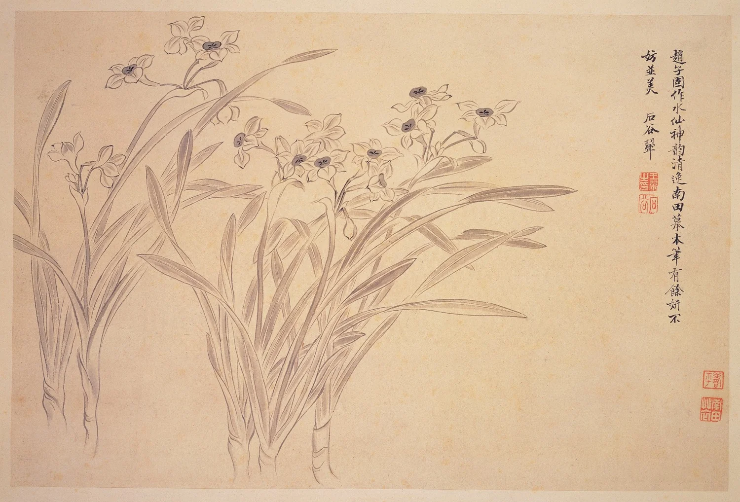 Narcissi, detail