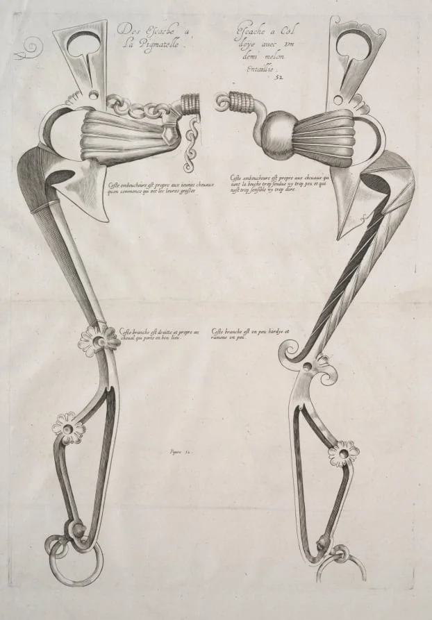 Diagram for Horse's Bit, detail