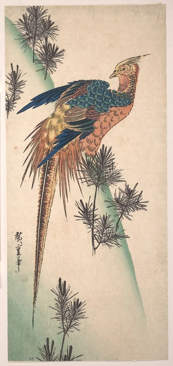 小松にきじ|Pheasant and Pine-trees on Snowy Hillside, detail