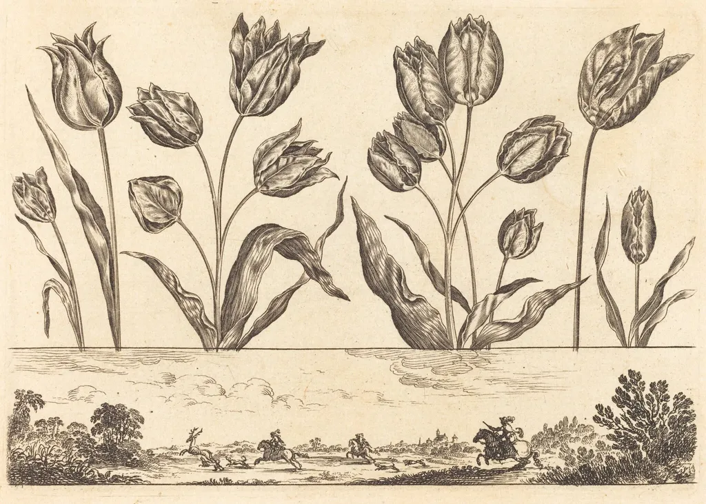Flower Print no.12, by Nicolas Cochin, ink, 1645