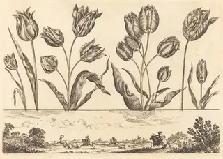 Flower Print no.12, by Nicolas Cochin, ink, 1645