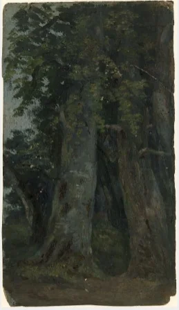 Trees, detail