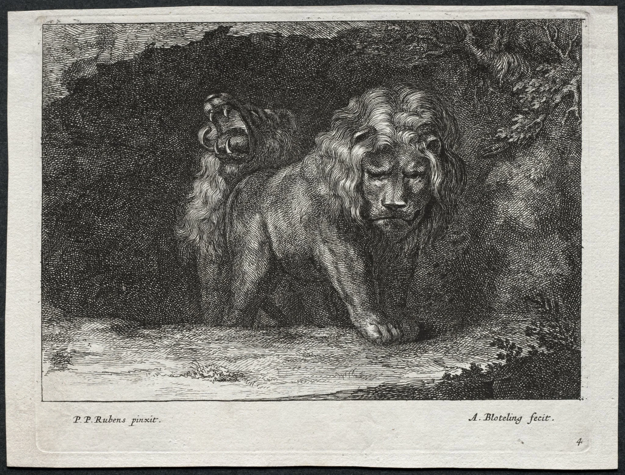 Various Lions, detail