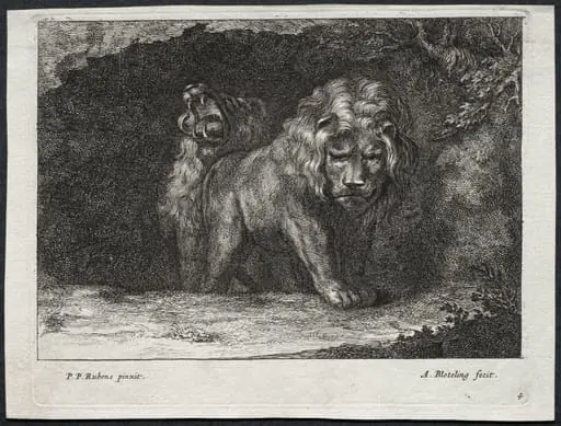 Various Lions, by Abraham Blooteling, 1672