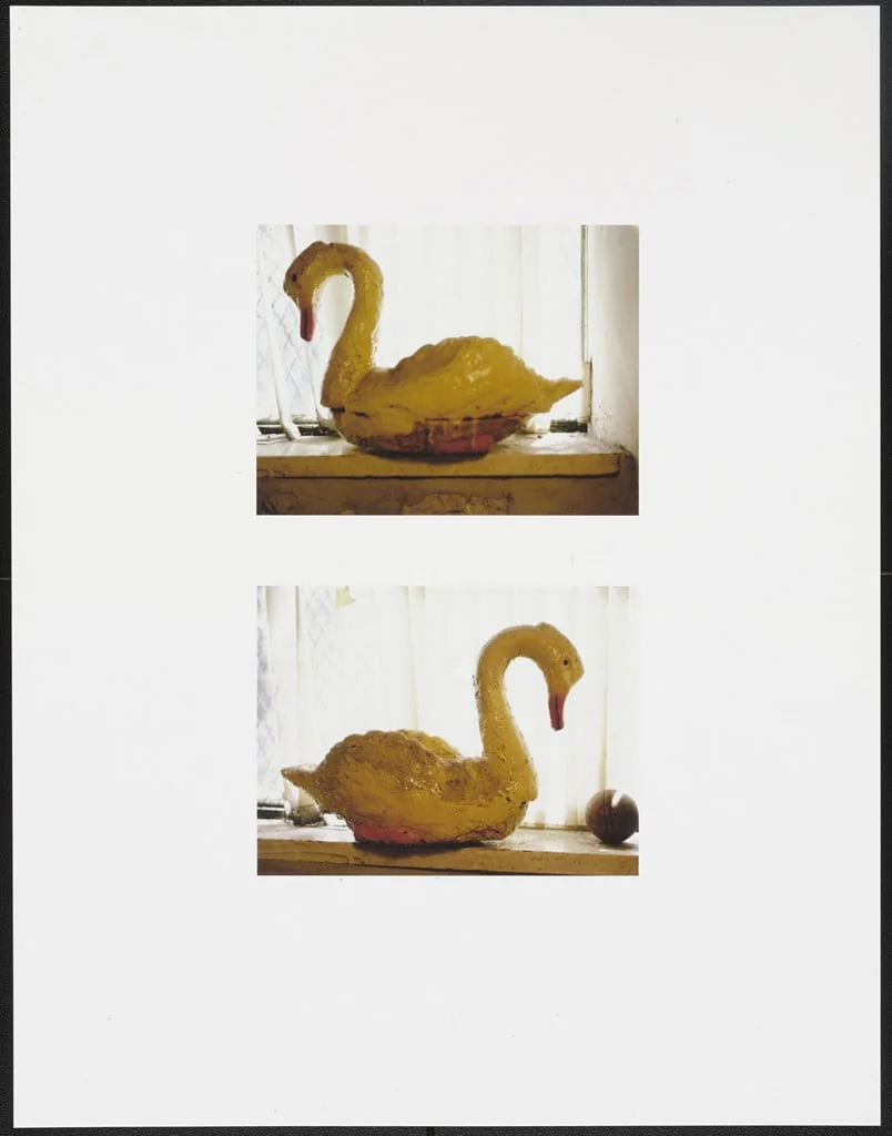 Untitled, detail