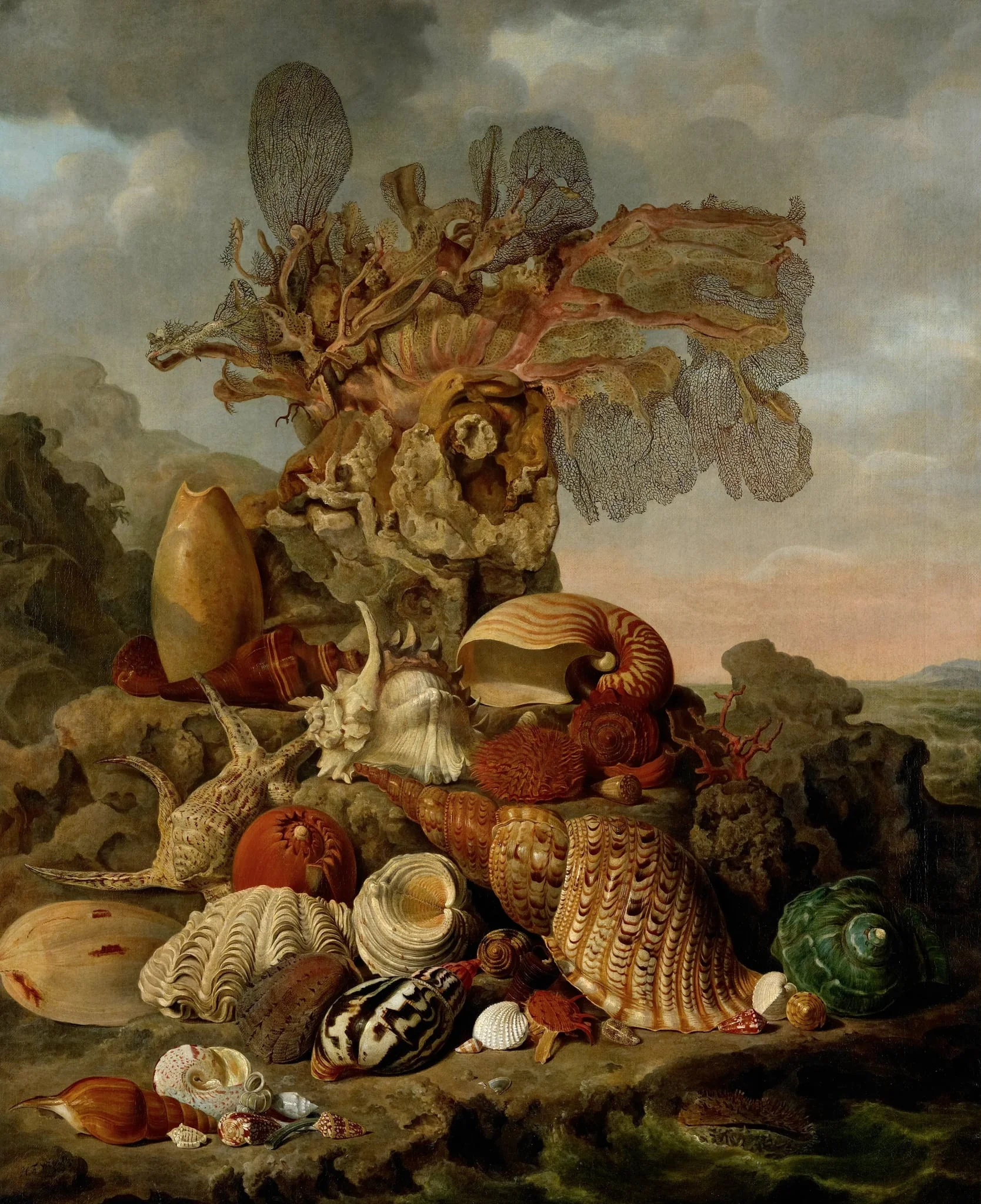 Shells and Marine Plants, detail