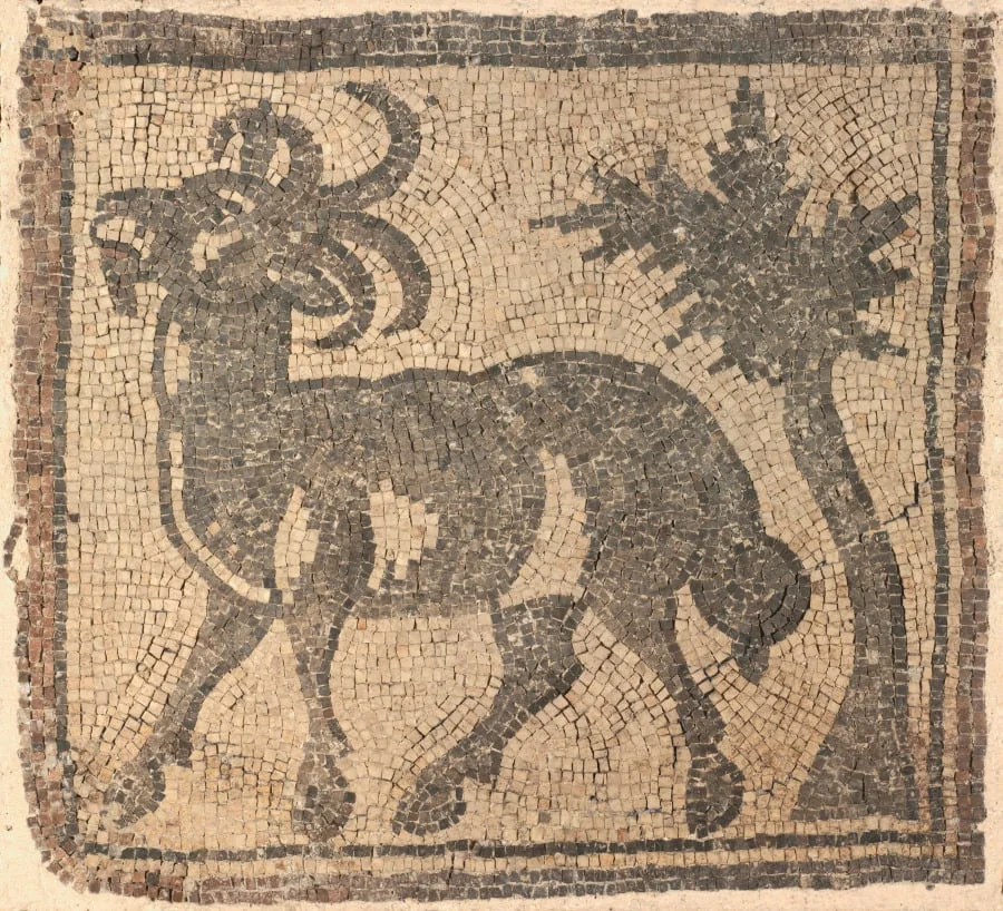 Ram near a Tree, detail