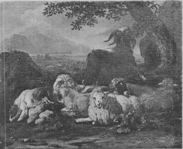 Ruhende Schafherde, detail
