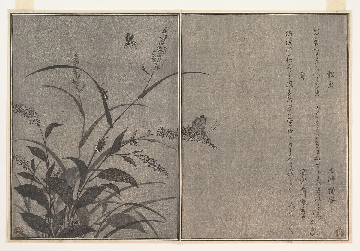 『画本虫撰』 「松虫」「虫蛍」|Tree cricket (Matsumushi); Firefly (Hotaru), from the Picture Book of Crawling Creatures (Ehon mushi erami), detail