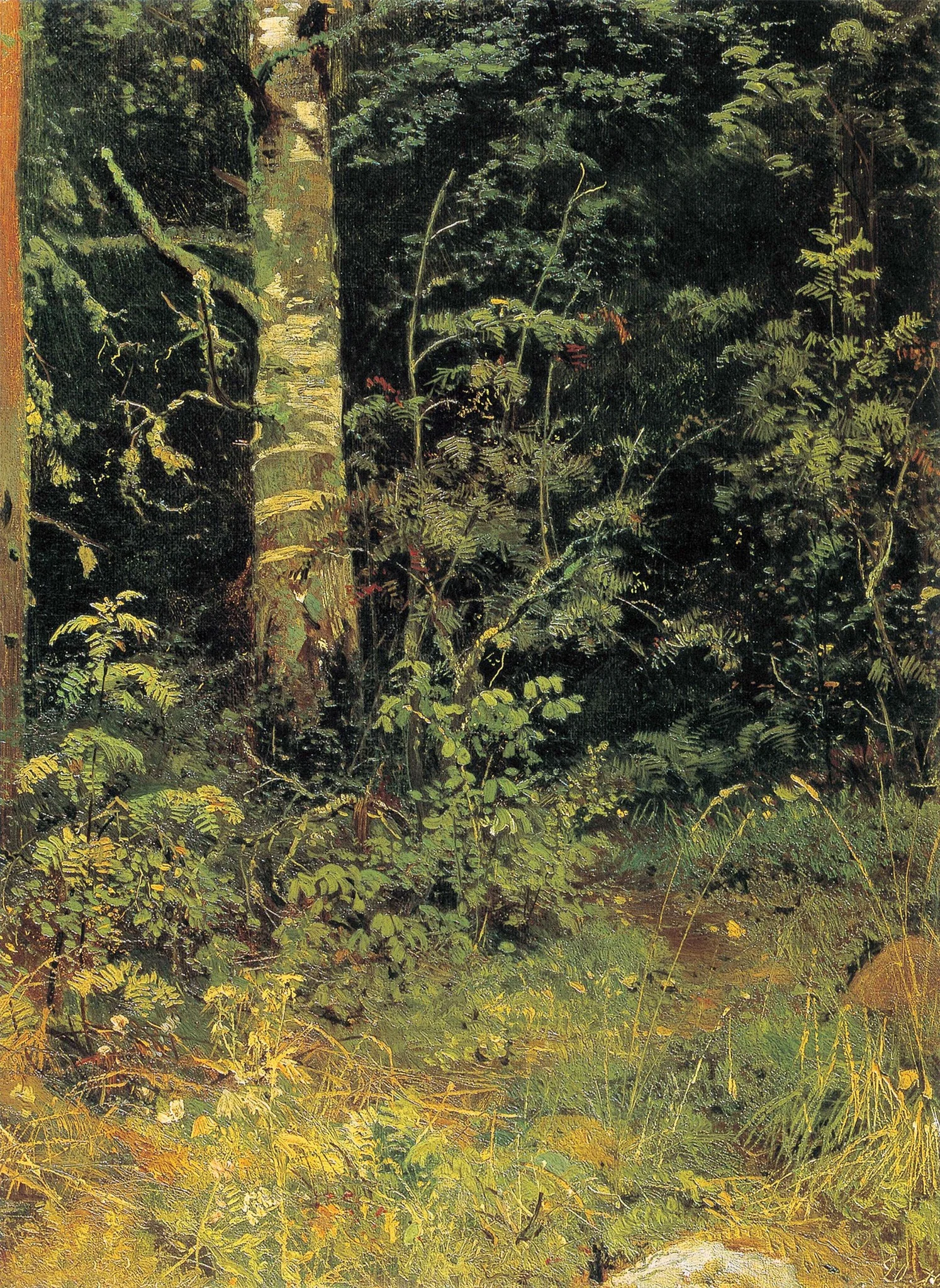 Birch and rowan, detail
