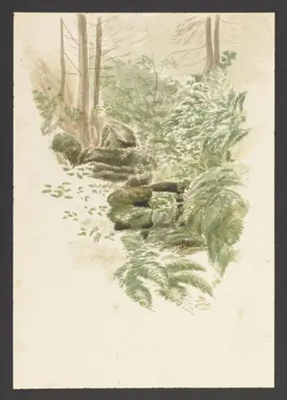 A stream running through a forest, by Beatrix Potter, watercolor, 1902