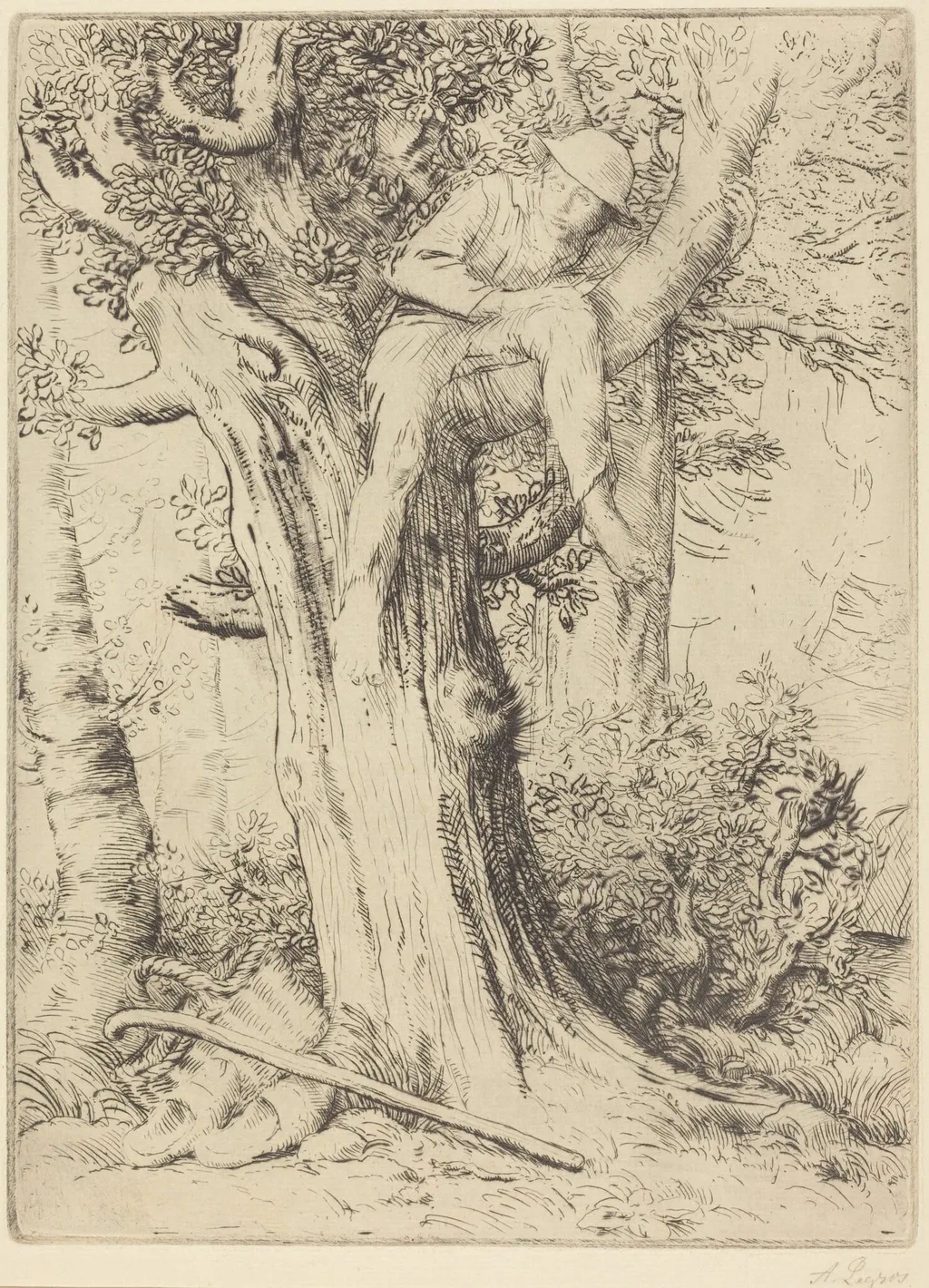 Landscape with a Boy in a Tree (Paysage avec un garcon gimpe sur un arbre dite "Le denicher d'oiseaux), by Alphonse Legros, ink, 1874