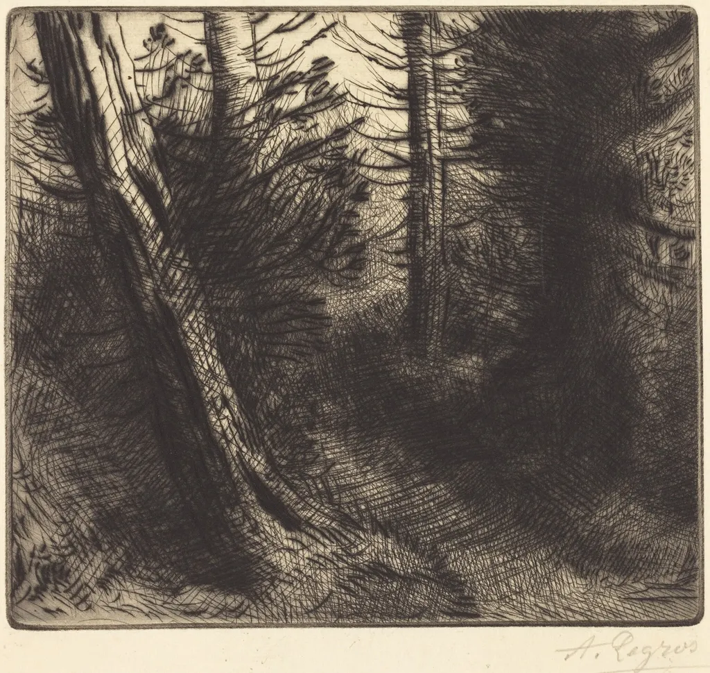 Path through the Woods (Sentier sous bois), by Alphonse Legros, ink, 1874