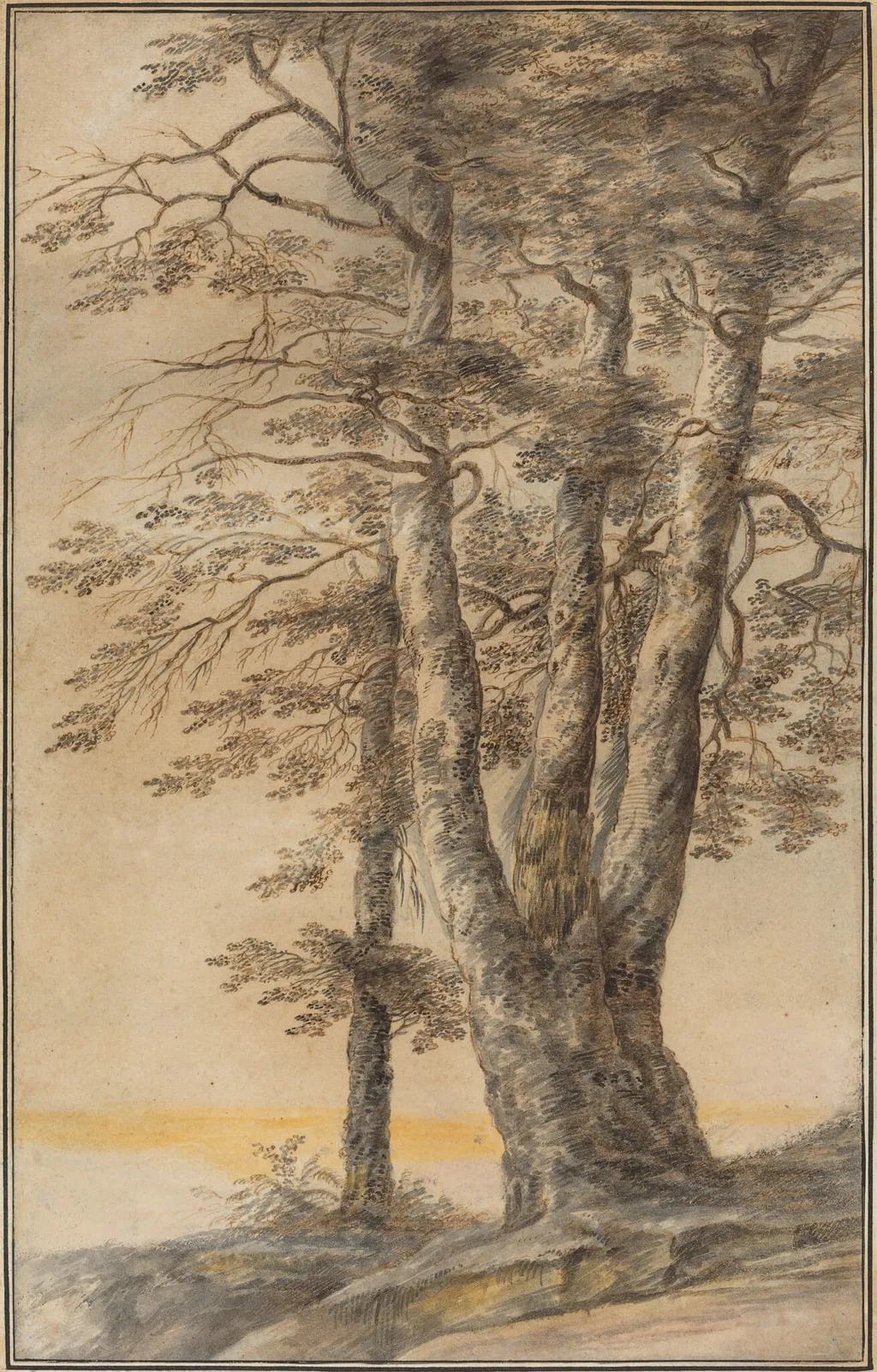 Study of Trees, by Lucas van Uden, ink, 1644
