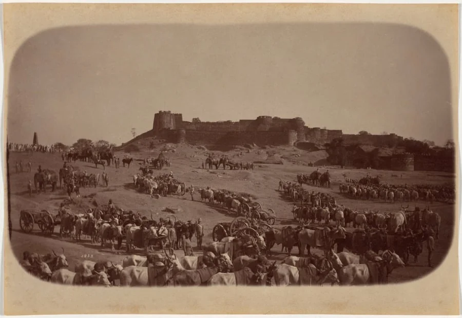Elephant Battery, Jhansi, detail