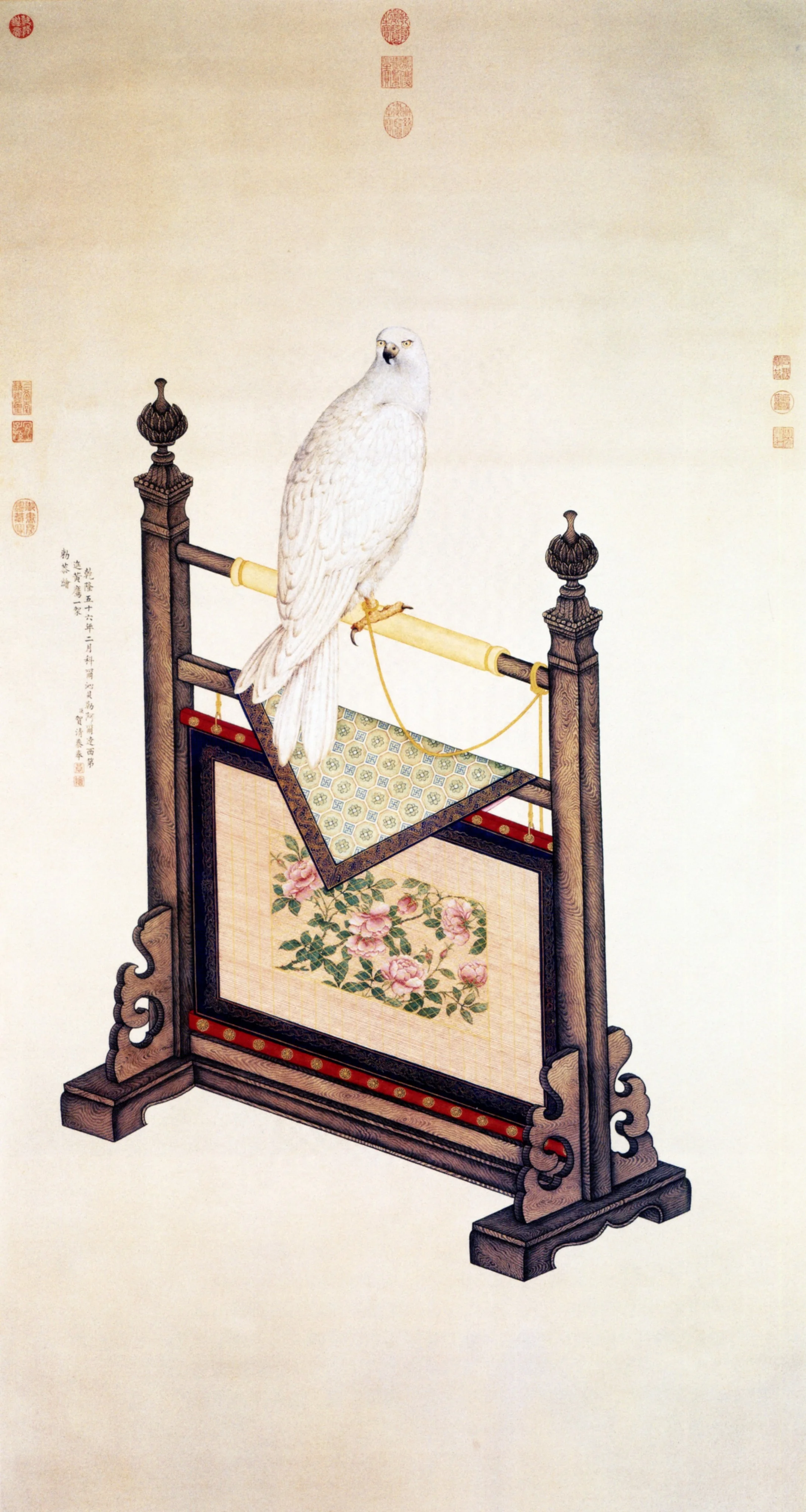 Falcon, detail