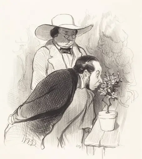 Un Triomphe de botaniste, by Honoré Daumier, ink, 1844