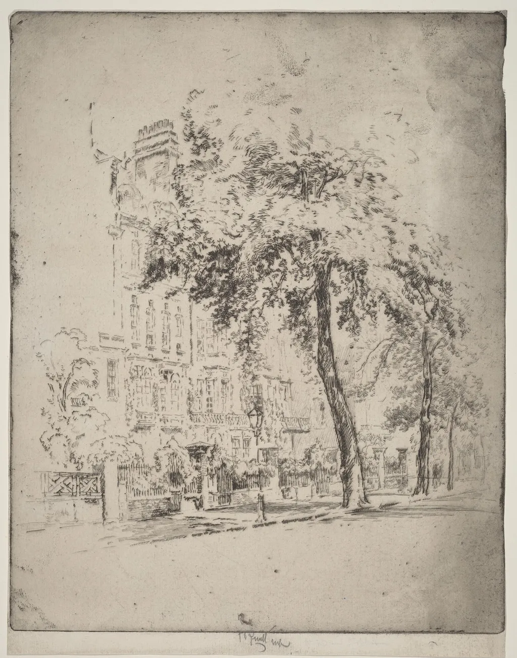 Big Tree, Cheyne Walk, by Joseph Pennell, ink, 1906