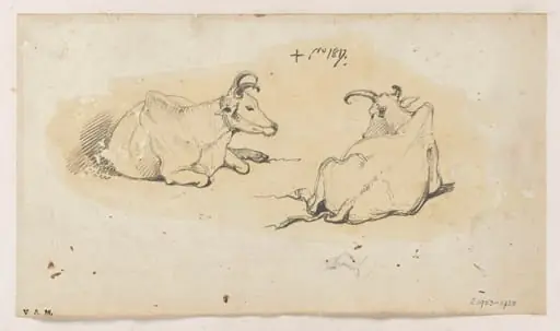 Two Indian cows, by George Chinnery, 2