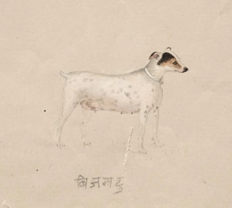Bijantu, detail
