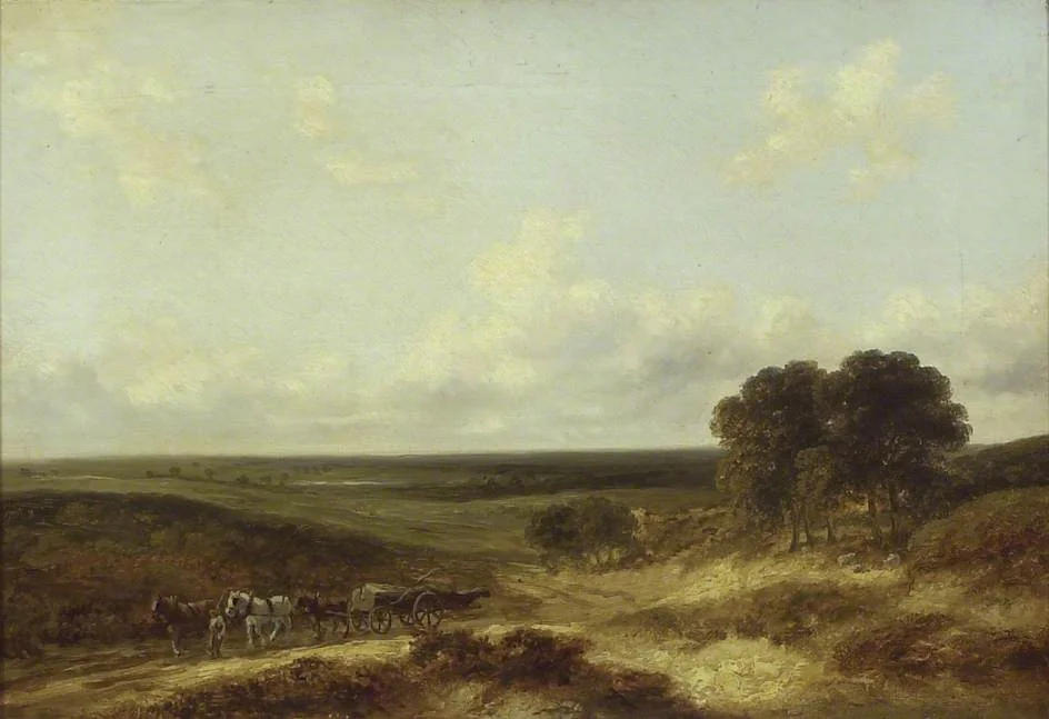 Mousehole Heath, Norfolk, detail