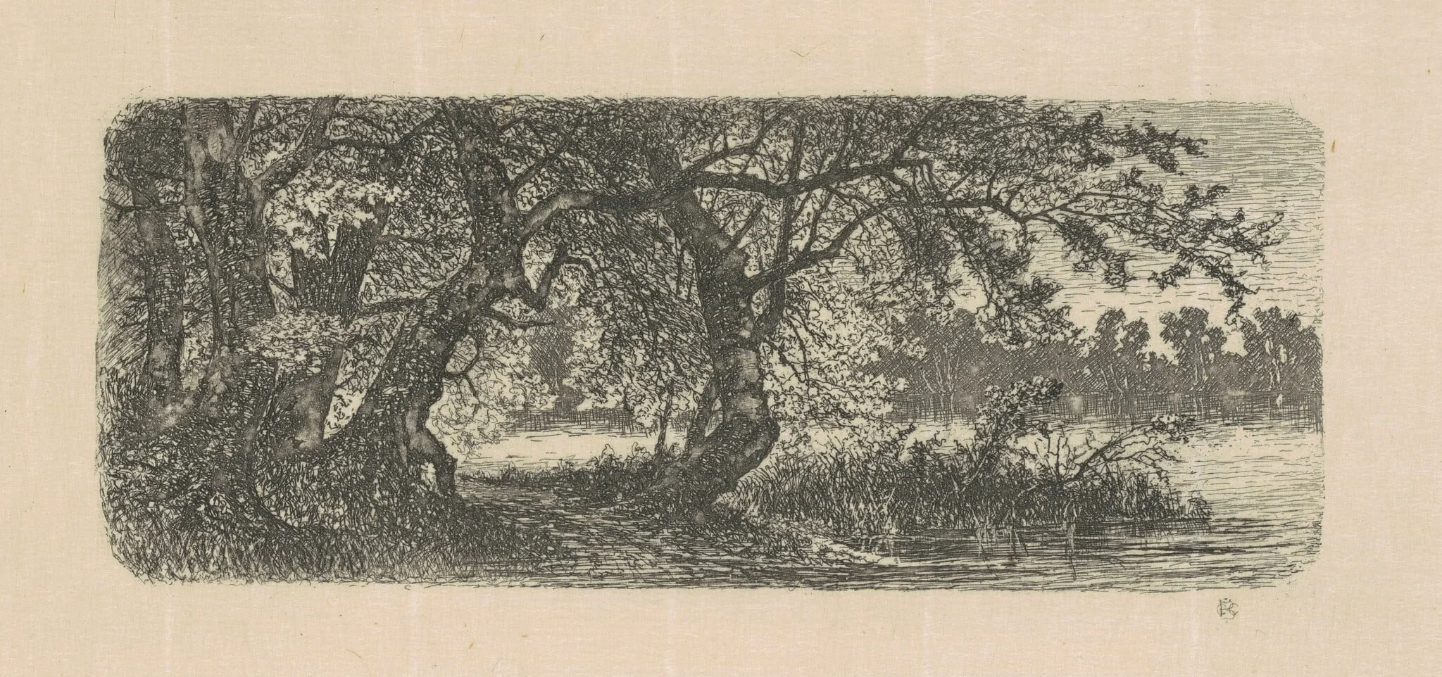 Water Elms, detail