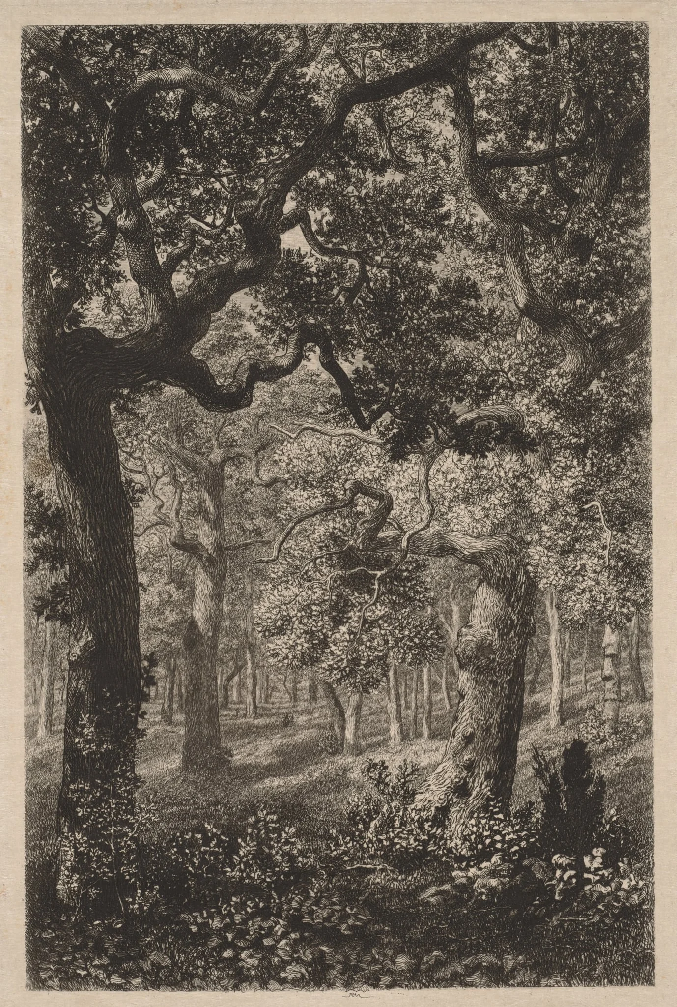 In the Woods, detail