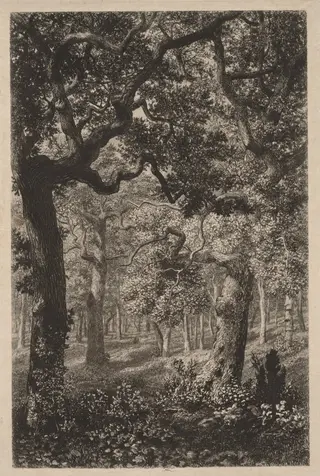 In the Woods, by Adolphe Théodore Jules Martial Potémont, 1870