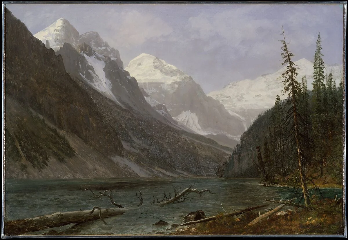 Canadian Rockies (Lake Louise), detail