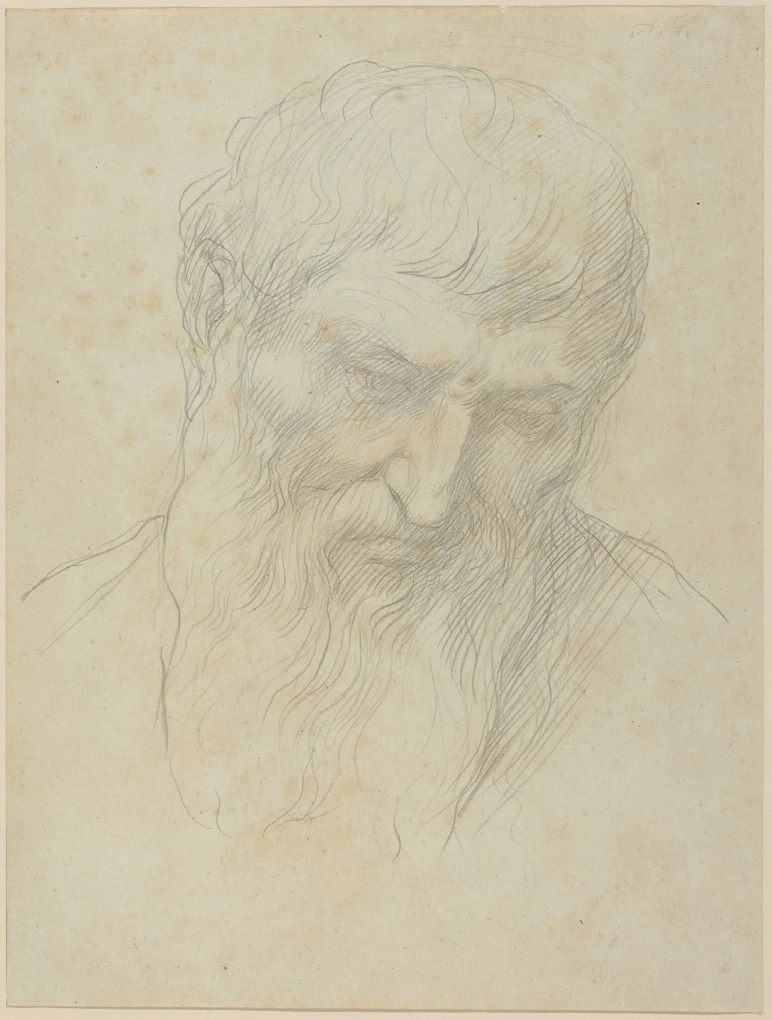 Head of a Man with Curly Hair and Beard, detail