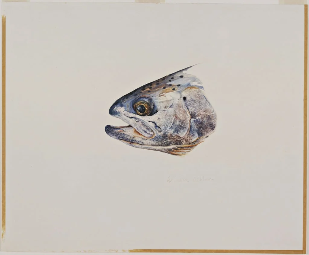 Untitled, detail