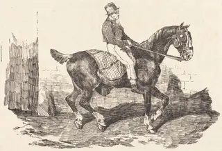 Groom Mounted on a Carriage-Horse (Cheval de carrosse monte par un palfrenier), by Théodore Géricault, ink, 1820