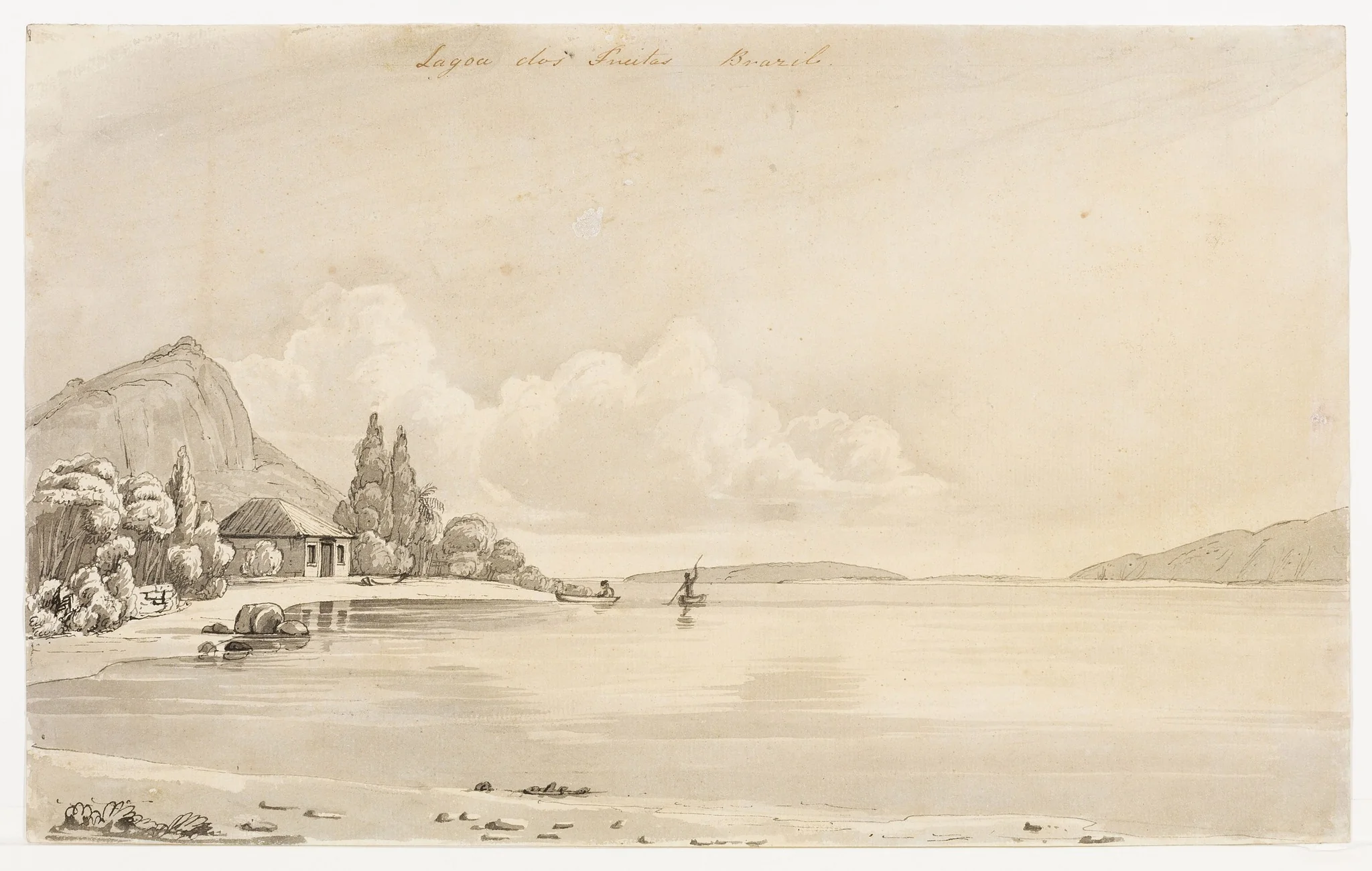 Lagoa dos Freitas. Brazil, detail
