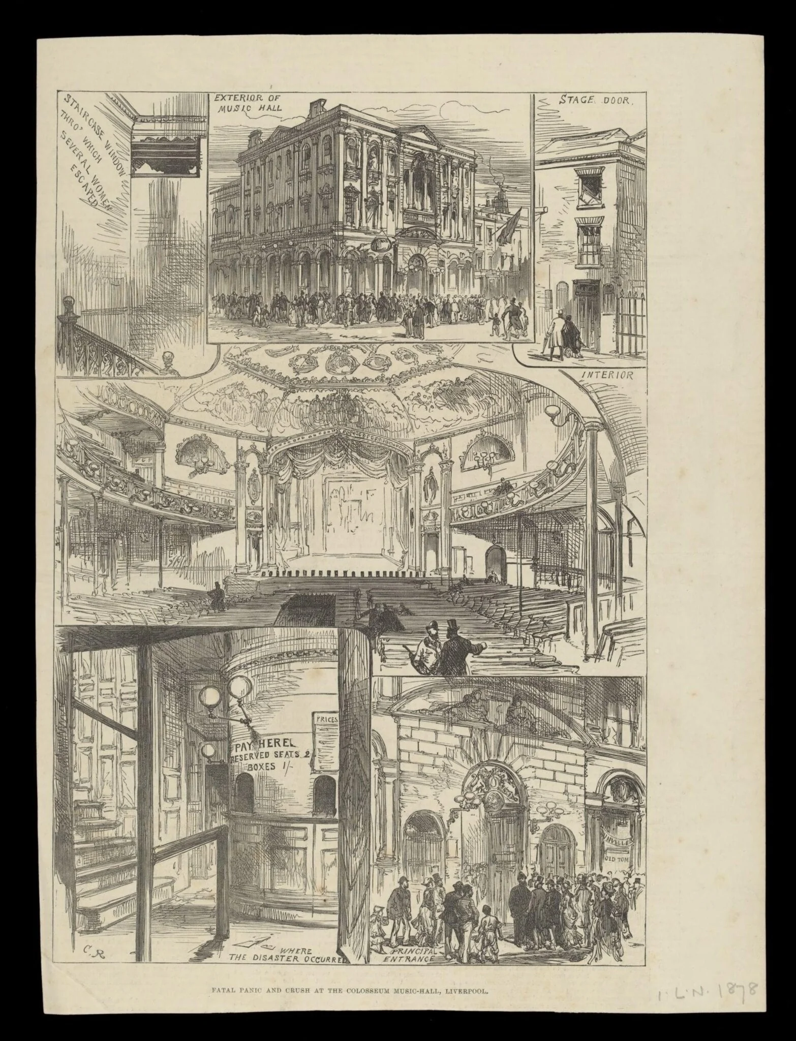 H Beard Print Collection, detail