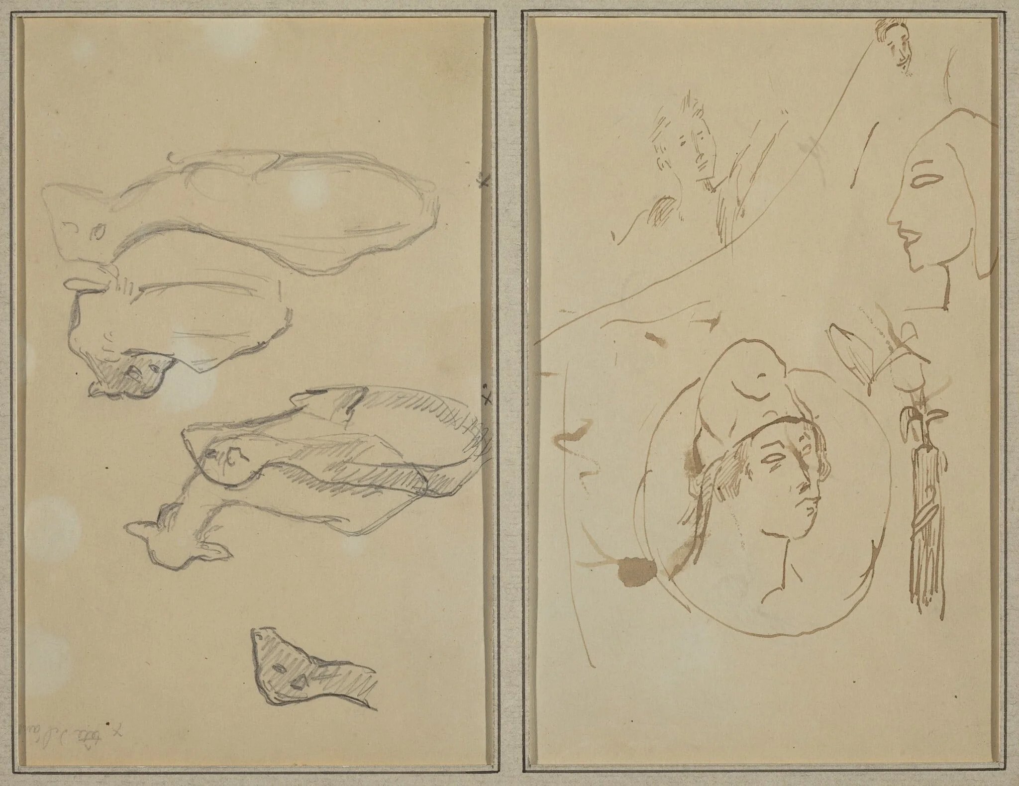Five Sheep; Four Head Studies [verso], detail